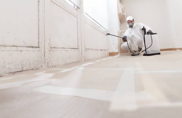 24/7 Emergency Mold Inspection experts in Wilson, NC